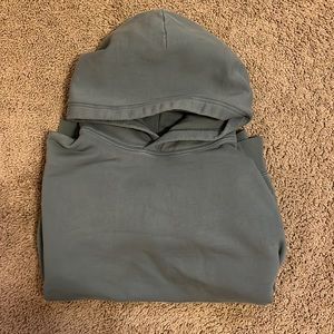 Aritzia TNA Perfect Hoodie